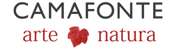 Camafonte